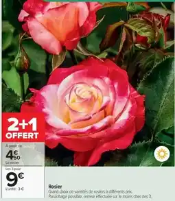 Carrefour Drive Rosier offre
