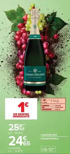 Carrefour Canard - cuvén d'ochrante offre