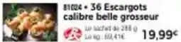 Thiriet 36 escargots calibre belle grosseur offre