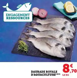 Hyper U Daurade royale d'aquaculture offre