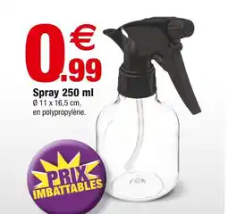 Bazarland Spray 250 ml offre