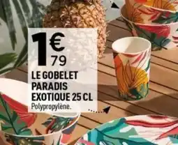 Centrakor Le gobelet paradis exotique offre