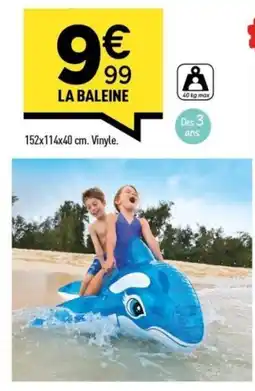 Centrakor La baleine offre