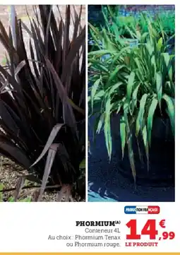 Hyper U Phormium offre