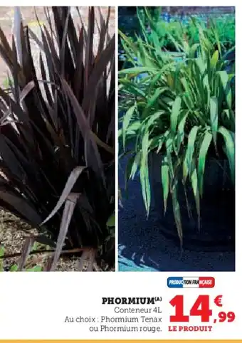 Hyper U Phormium offre