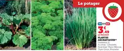 Hyper U Plantes aromatiques offre