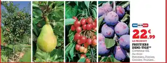 Hyper U Fruitiers demi-tige offre