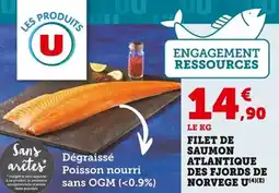 Bi1 Filet de saumon atlantique des fjords de norvege u offre