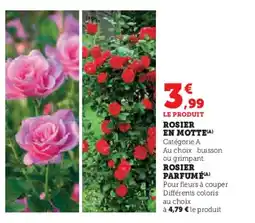 Hyper U Rosier en motte offre