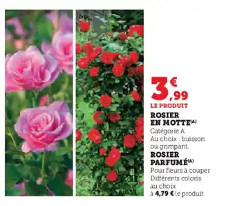 Hyper U Rosier en motte offre