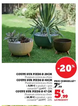 Hyper U Coupe sur pieds offre