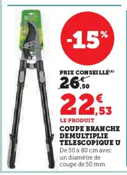 Hyper U Coupe branche demultiplie telescopique u offre