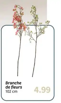 Wibra Branche de fleurs offre