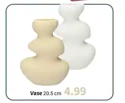 Wibra Vase offre