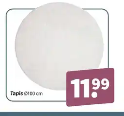 Wibra Tapis offre