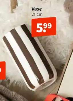 Wibra Vase offre