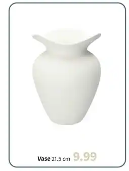Wibra Vase offre