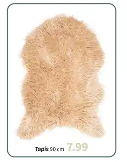 Wibra Tapis offre