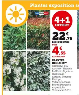 Super U Plantes de haies offre