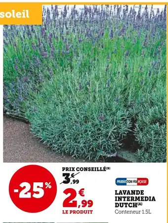 Super U Lavande intermedia dutch offre