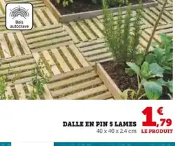 Super U Dalle pin 5 lames offre
