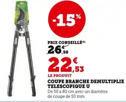 Super U Coupe branche demultiplie telescopique u offre