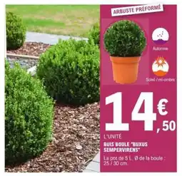 E.Leclerc Buis Boule 'Buxus Sempervirens' offre