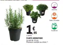 E.Leclerc PLANTE AROMATIQUE offre