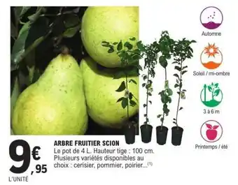 E.Leclerc ARBRE FRUITIER SCION offre