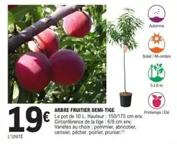 E.Leclerc ARBRE FRUITIER DEMI-TIGE offre