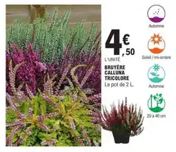 E.Leclerc BRUYÈRE CALLUNA TRICOLORE offre