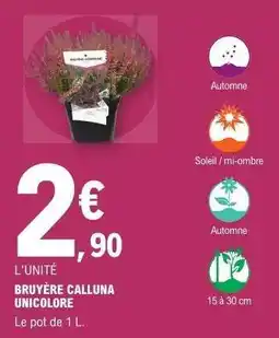 E.Leclerc BRUYÈRE CALLUNA UNICOLORE offre