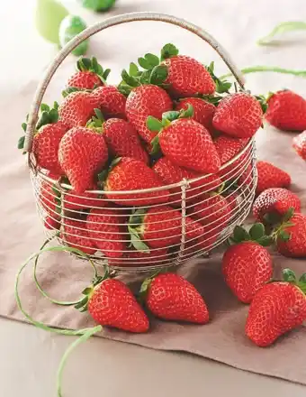 U Express BON PLAN SUR LA FRAISE RONDE offre