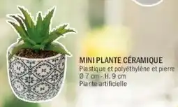 La Foir'Fouille Mini plante céramique offre