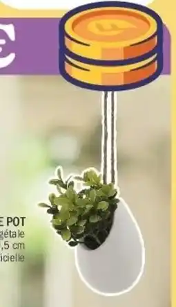La Foir'Fouille Mini plante pot offre