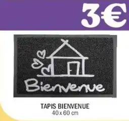La Foir'Fouille Tapis bienvenue offre