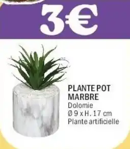 La Foir'Fouille Plante pot marbre offre