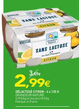 naturéO GRANDEUR NATURE Délactosé Citron offre
