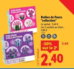 Lidl Bulbes de fleurs collection offre