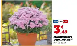Super U Marguerite d'Automne offre