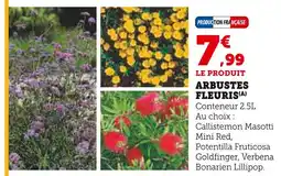 Super U Arbustes Fleuris offre