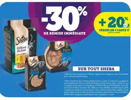 U Express Sheba Tout Sheba offre