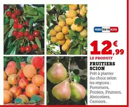 Super U Fruitier Scion offre