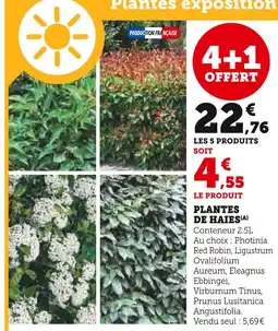 Super U Plantes de haies offre