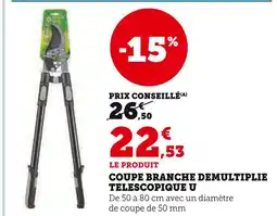 Super U Coupe branche demultipliée télescopique offre