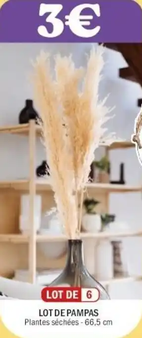 La Foir'Fouille Lot de pampas offre