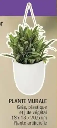 La Foir'Fouille Plante murale offre