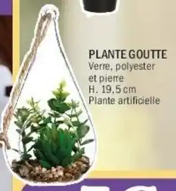 La Foir'Fouille Plante goutte offre