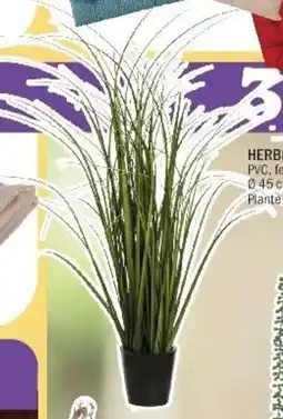 La Foir'Fouille Herbe haute en pot offre