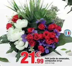 Bazarland Petit jardin de renoncules, Jaune ou rouge. offre